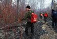 Лесные пожары потушены в Забайкалье