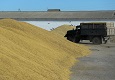 Аграрии Карачаево-Черкесии планируют собрать почти 380 тыс. тонн зерна