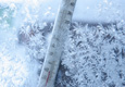 40-градусные морозы пришли в Забайкалье