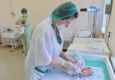 Жалобы пациенток на поборы в перинатальном центре Приамурья стали поводом для служебной проверки