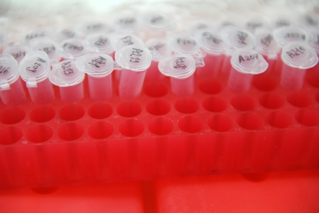 В Удмуртии еще две лаборатории начали проводить тесты на коронавирус