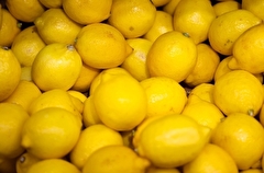 Лимоны: польза и вред для организма, калорийность и интересные факты о фрукте