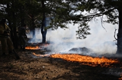 Первый в этом году пожар в лесу потушили в Омской области