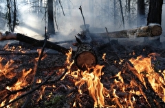 Лесные пожары начались в Тюменской области