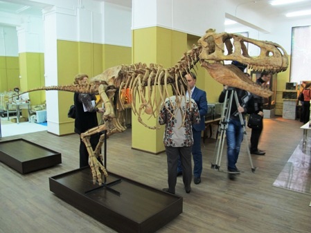 Найденные в Кузбассе останки динозавров впервые покажут в кемеровском музее