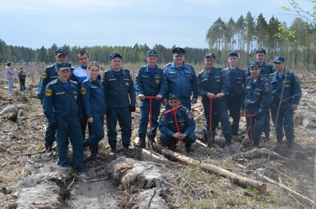 В Тюменской области около 500 сотрудников МЧС приняли участие в акции "Лес Победы"