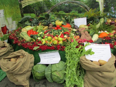 Около 300 предприятий приняли участие в сельхозвыставке в Ярославле