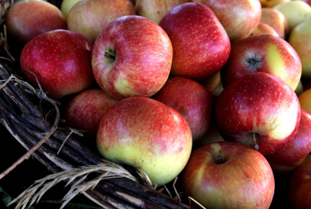 40 тонн молдавских яблок задержали Смоленские таможенники