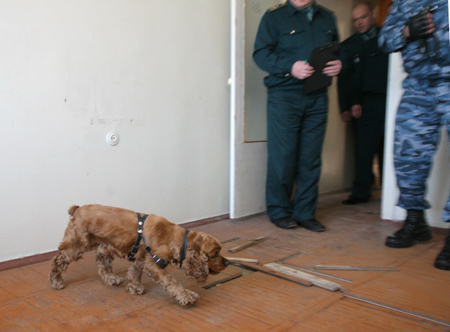 Полиция не обнаружила взрывчатку в доме на Овчинниковской набережной