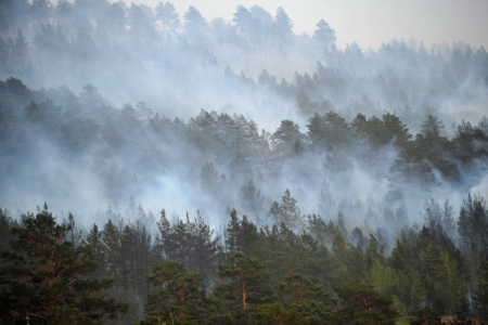Режим ЧС введен в одном из районов Камчатки из-за лесного пожара