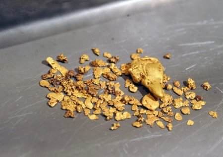 Добывающие компании Алтайского края в 2016 года получат около 1 тонны золота