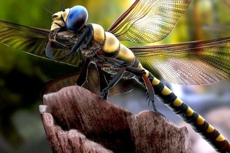 Московский зоопарк предложил посетителям путешествие в мир гигантских насекомых