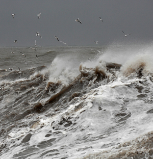 В Тихом океане у берегов Камчатки ожидается шторм, высота волн будет достигать 9 м