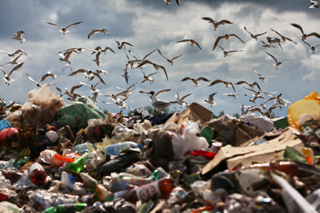 Военные вывезли более тысячи тонн мусора с острова Врангеля на Чукотке