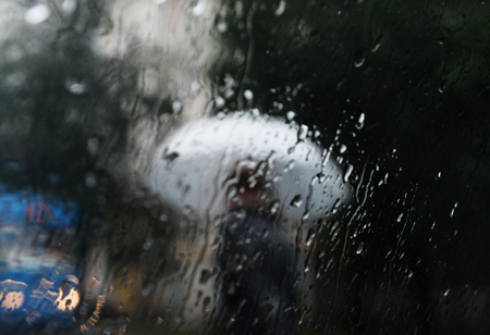 Петербург и Ленобласть проводят уходящий год теплой дождливой погодой