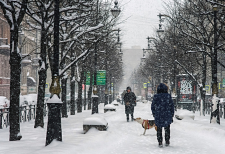 В Петербурге и Ленобласти в начале недели потеплеет до нуля градусов