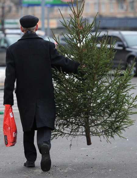 Выброшенные новогодние елки в Волгограде перерабатывают в удобрения
