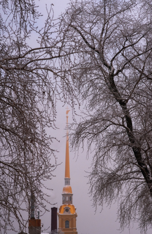 Снегопады пройдут в Петербурге и Ленобласти на выходных