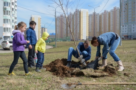 25 тыс. деревьев высадят в Ингушетии в Год экологии
