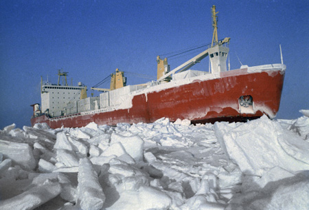 Суда, застрявшие во льдах Чаунской губы на Чукотке, останутся там на весь период ледовой навигации
