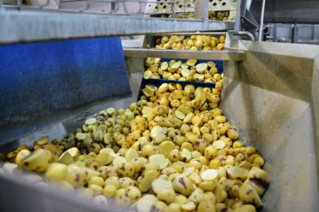 Прокуратура проводит проверку в связи с обрушением кровли хранилища картофеля в Тульской области