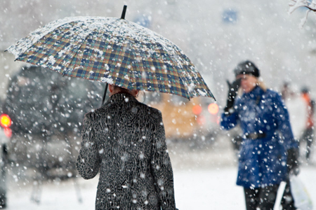 Морось и мокрый снег придут в Петербург вместе с февральской оттепелью