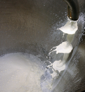 Власти Ингушетии организуют пункты сбора молока у населения и фермерских хозяйств