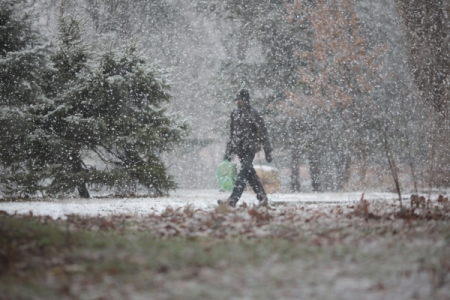 Снегопады оставили без света большое количество городов и поселков на Кубани