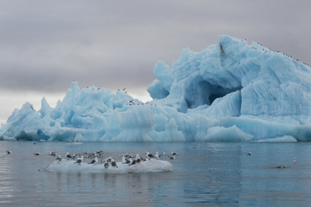 Ученых беспокоит глобальное потепление в Арктике