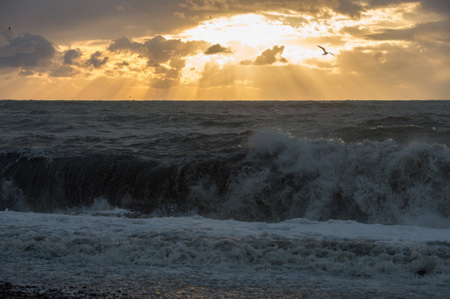 В Сочи шторм разрушил десять метров берегоукрепления пляжа, которое возводил "Олимпстрой"