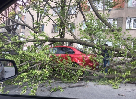 Ущерб от урагана во Владикавказе составил более 100 млн рублей