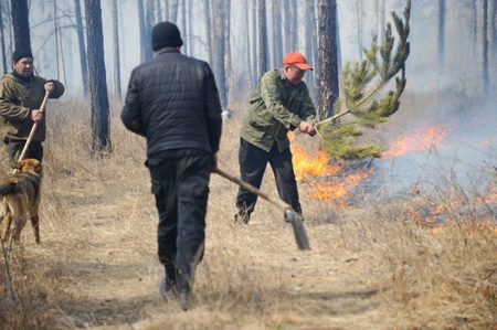Площадь лесных пожаров возросла в два раза в Забайкалье и Бурятии