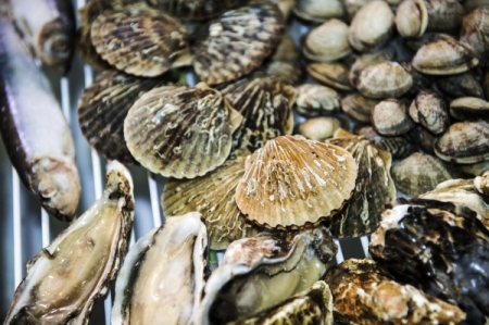 Российские ученые обнаружили новые виды моллюсков во Вьетнаме