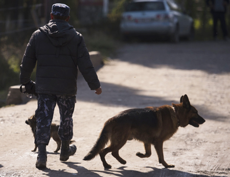 Порядка 600 человек ведут поиски пропавшего мальчика в Курской области
