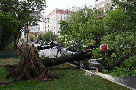 108 пострадавших в результате урагана остается В больницах Москвы