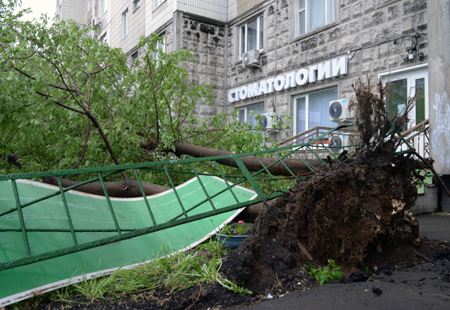 Число погибших в результате урагана в Москве и Подмосковье увеличилось до 14 человек