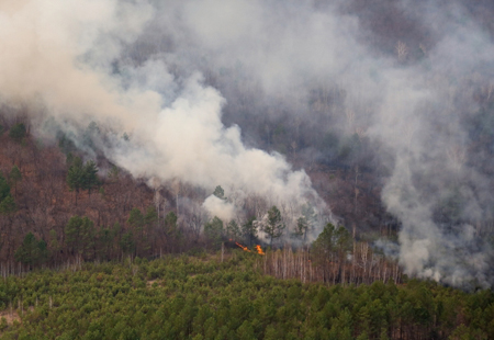 Восемь новых лесных пожаров возникло за сутки на Дальнем Востоке