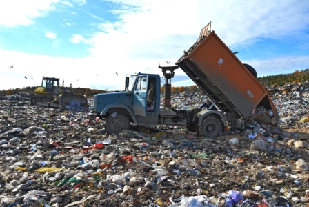 Путин поручил проверить работу организаций, эксплуатирующих мусорный полигон в Балашихе