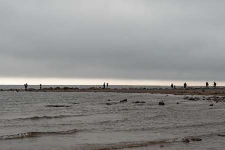 Размыв берегов Финского залива является наиболее актуальной экологической проблемой Петербурга