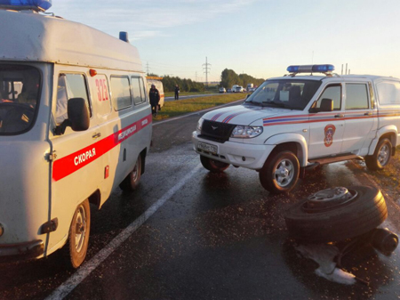 "Легковушка" врезалась в грузовик на трассе в Самарской области, погибли четыре человека