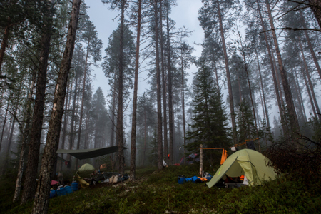 Погибший в Псковской области подросток находился в палатке, на которую упало дерево