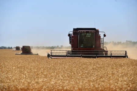 Краснодарский край планирует в 2017 г собрать рекордные 14,2 млн т зерновых