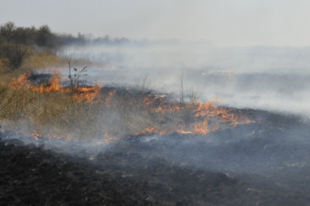Пожарные тушат пожар на площади 20 гектаров в Ростовской области