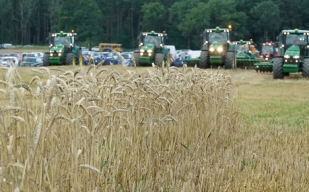 Темпы уборки урожая в Воронежской области превышают прошлогодние на 20%, намолочено 4 млн тонн зерна