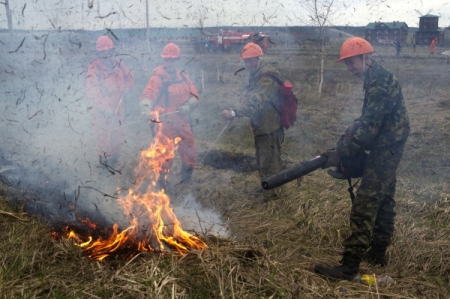 Земли лесного фонда горят в Ростовской области, в районе введен режим ЧС