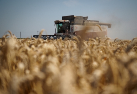 РФ в этом году соберет 105-110 млн тонн зерна, экспорт может достичь 40 млн тонн