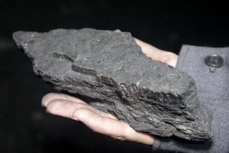 "Колмар" намерен создать в Южной Якутии бизнес-цепочку по производству и продаже коксующегося угля