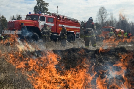 Локализован природный пожар рядом с саратовским селом