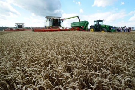 Смоленская область планирует убрать зерновые на 117 тыс га, убрано около 12% площадей