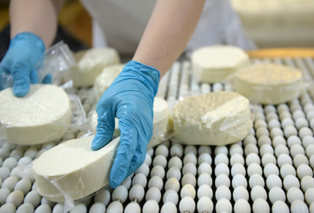 Суд оставил за сыроварами Адыгеи исключительное право на бренд "Cыр адыгейский"